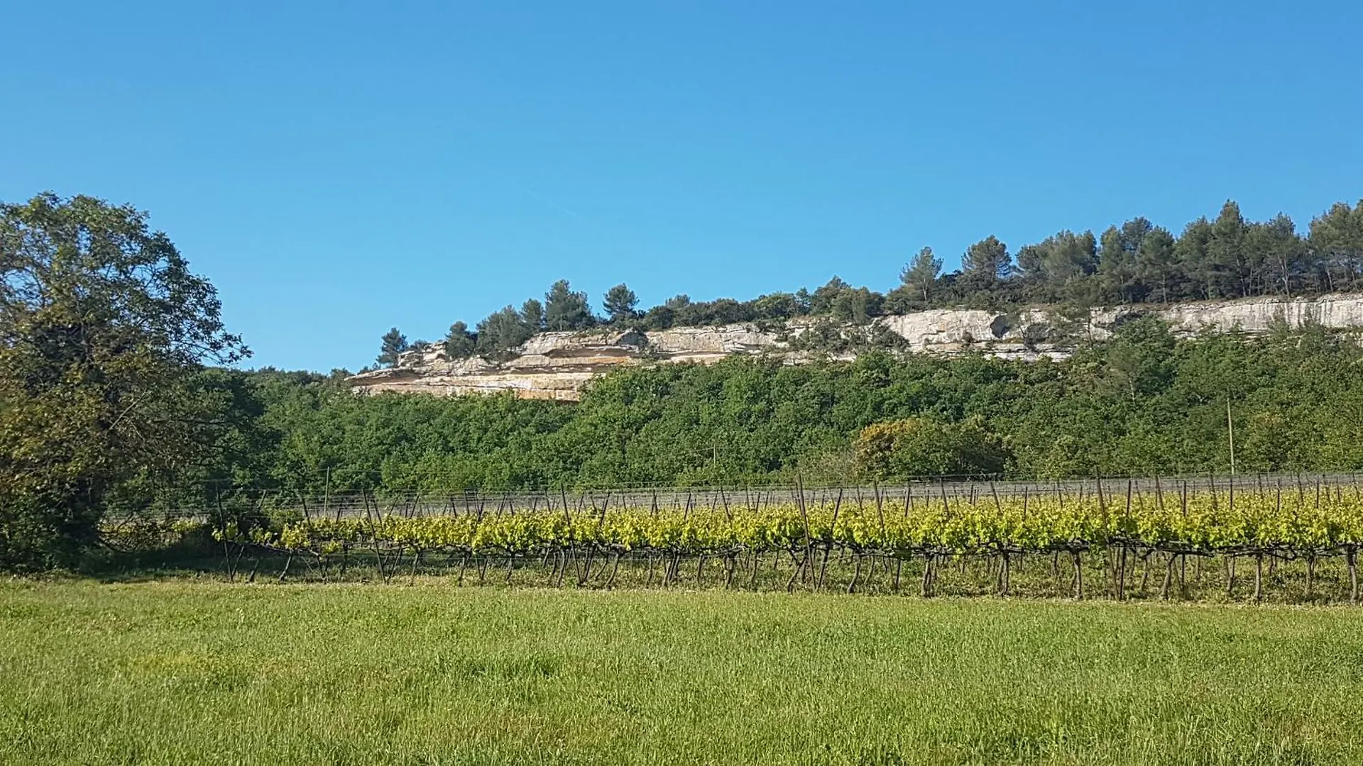 Le Jardin Secret Villa Gordes 0*,