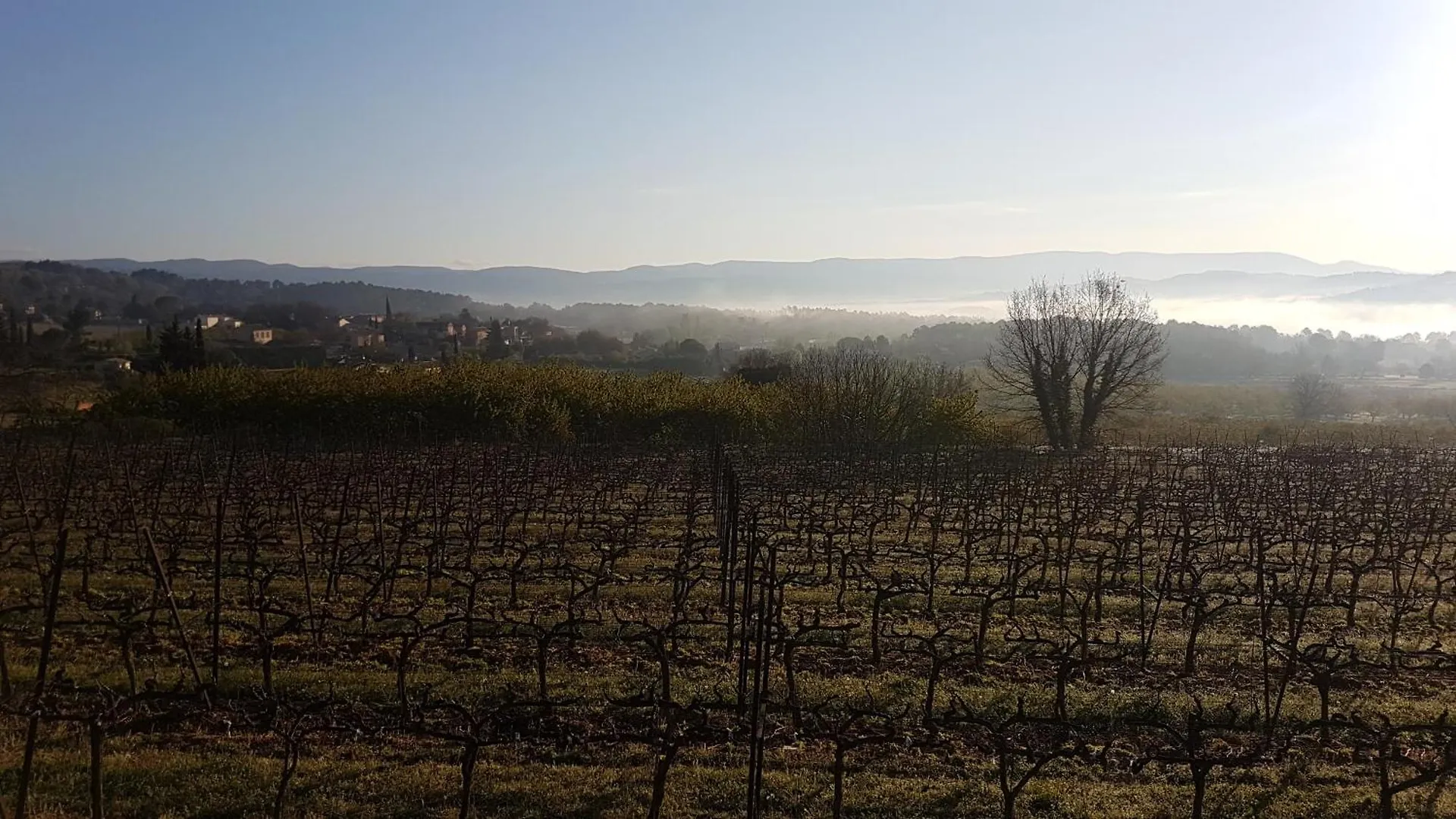 Le Jardin Secret Villa Gordes Holiday home